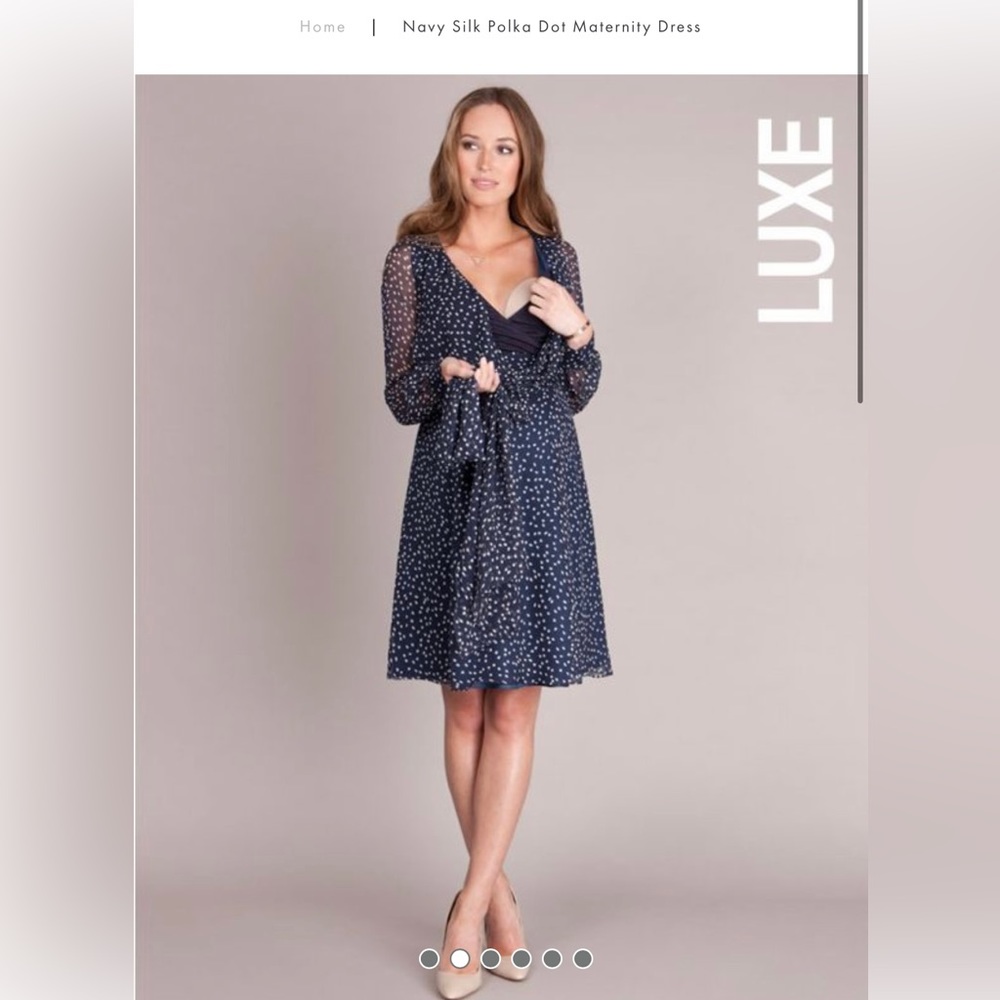 Seraphine maternity and nursing dress 100% silk